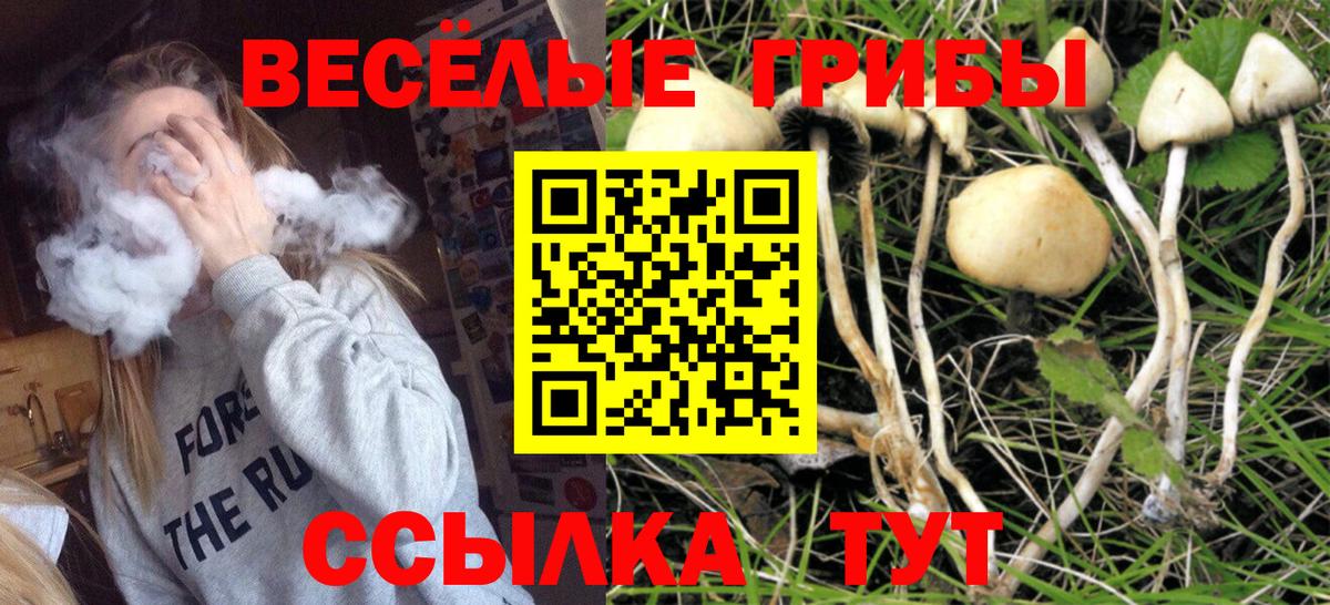 Алапаевск  Галлюциногенные грибы Psilocybe  Вход с VPN 