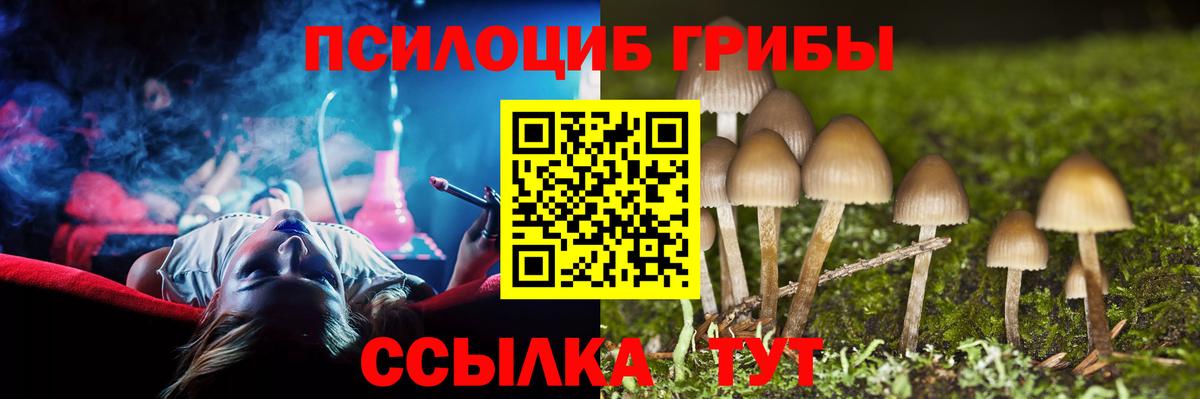 Галлюциногенные грибы Cubensis Алапаевск